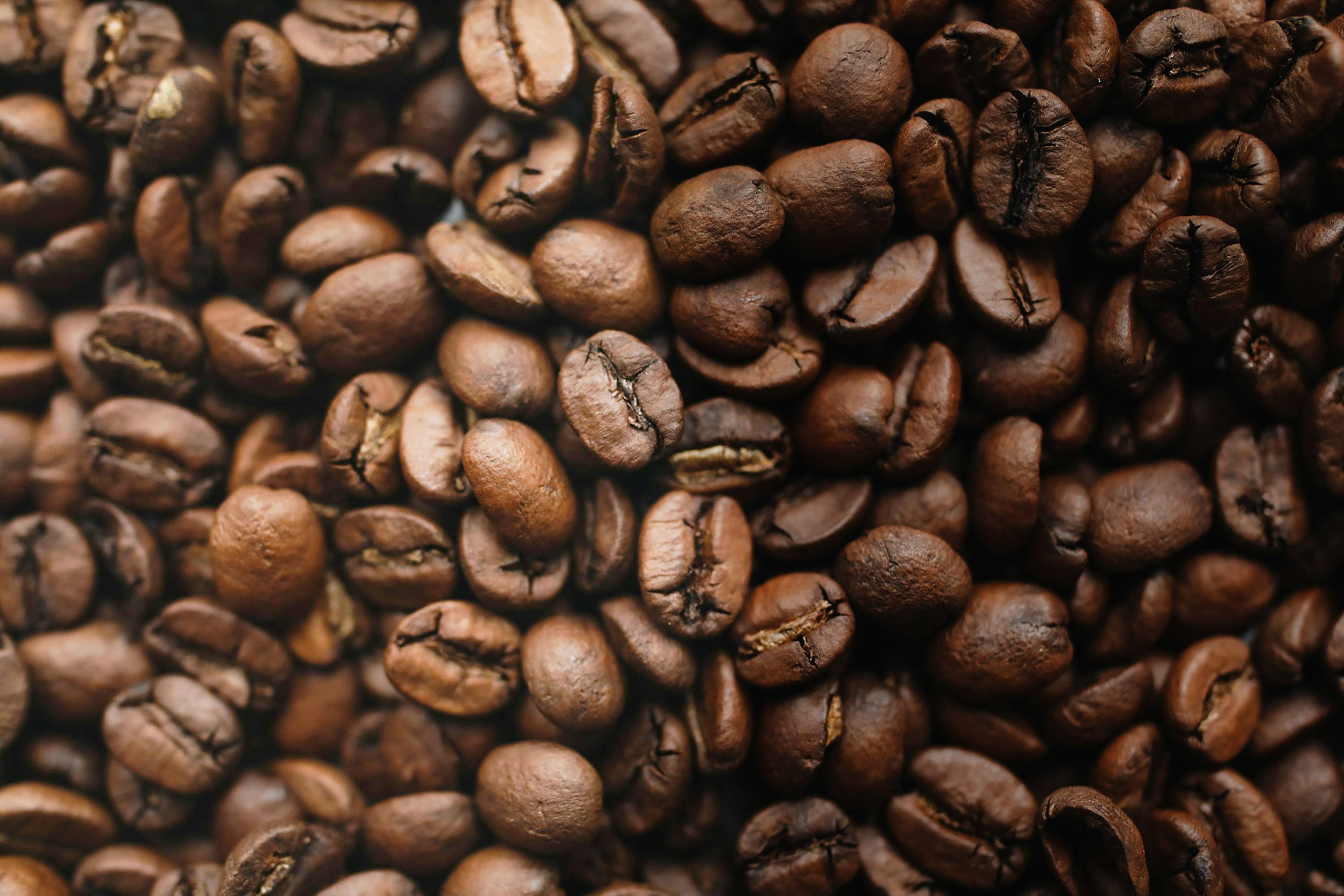 cafeMia